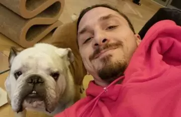 zlatan ibrahimovic