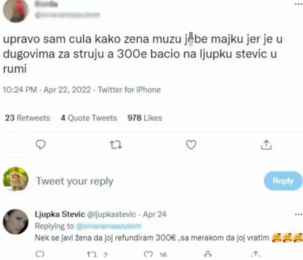 ljupka stević haos u rumi