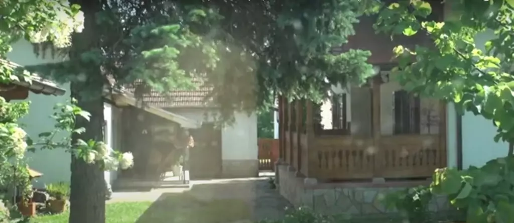 Kuća Miroslava Ilića svet portal svet