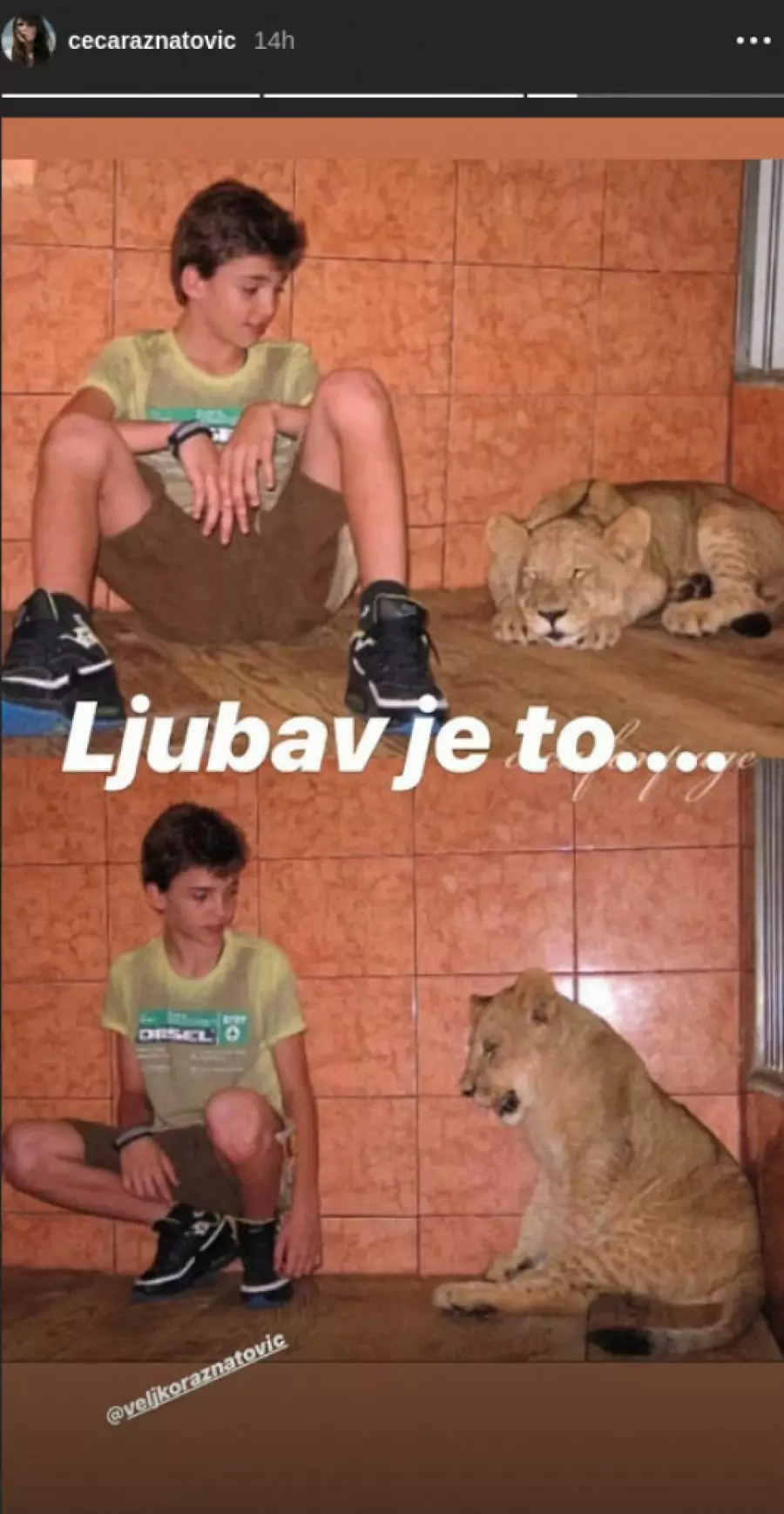sin Cece Ražnatović