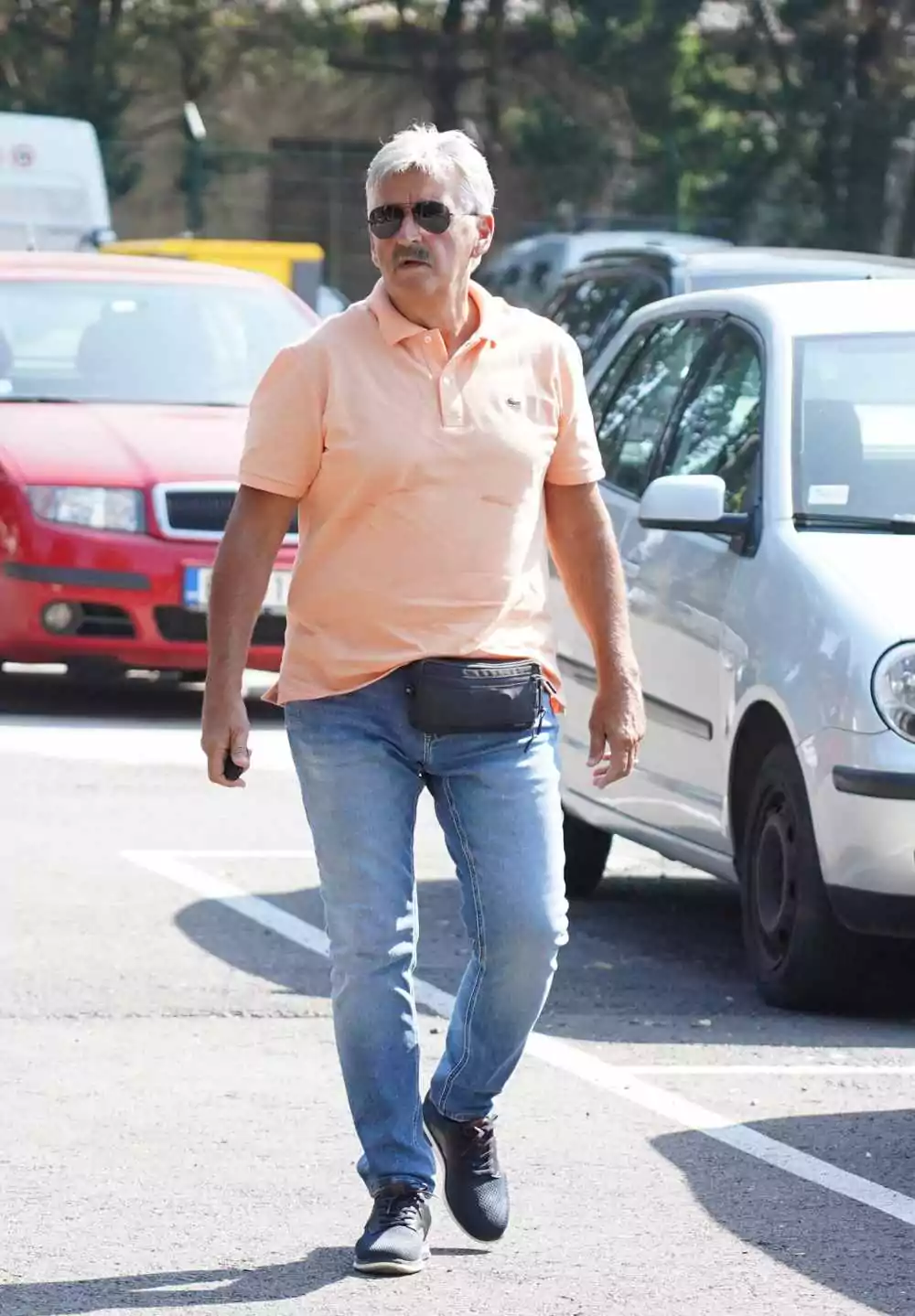 Dragan Stojković Bosanac portal svet