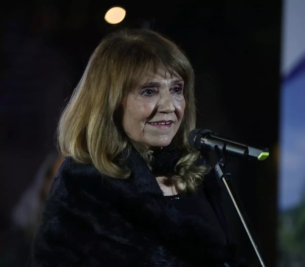Ljiljana Stjepanović u bolnici