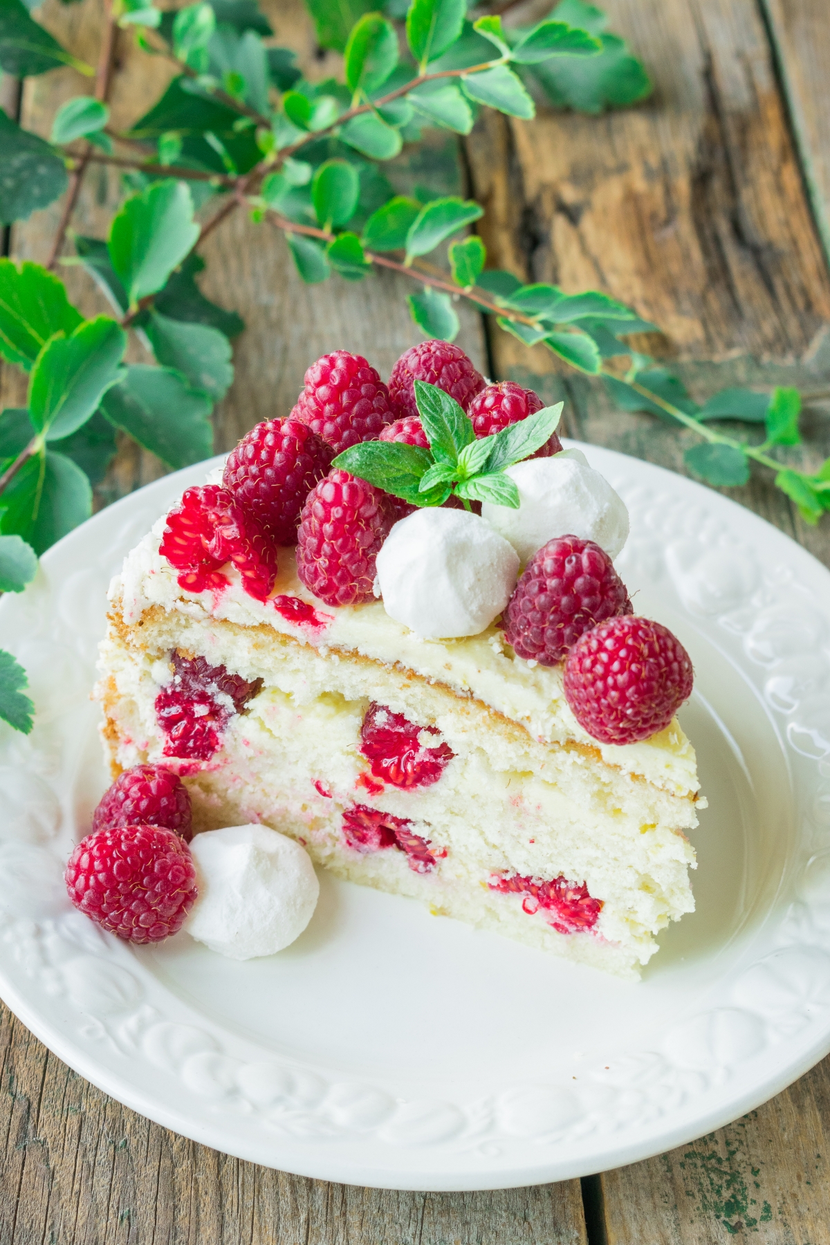 Recept Vesne Dedić svet novine svet portal