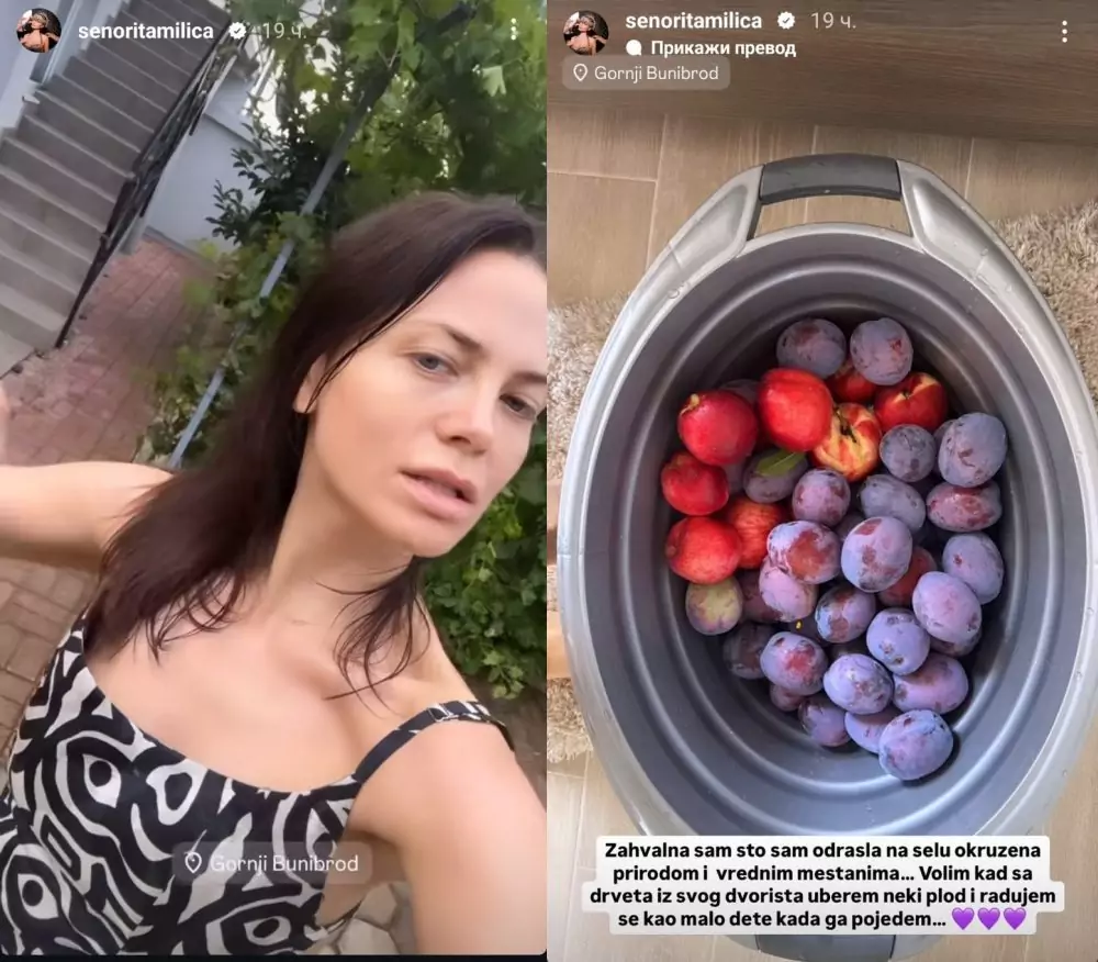 Kuća Milice Pavlović svet novine svet portal