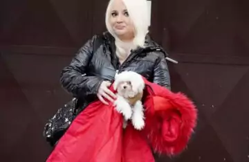 Maja Nikolić portal svet