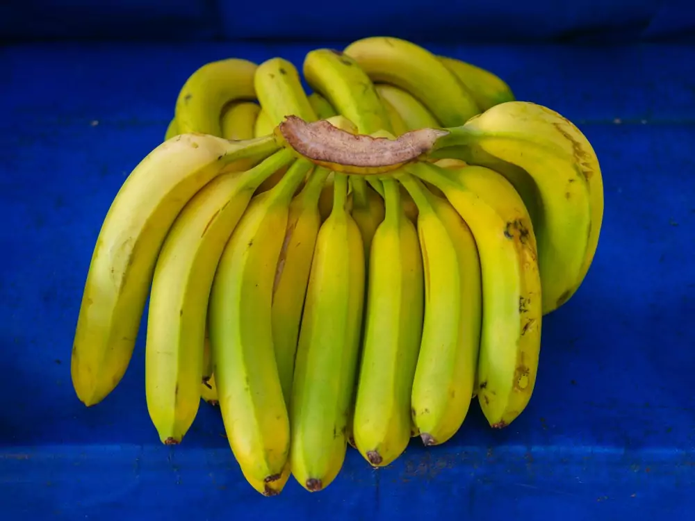 Torta s bananama i keksom svet portal svet