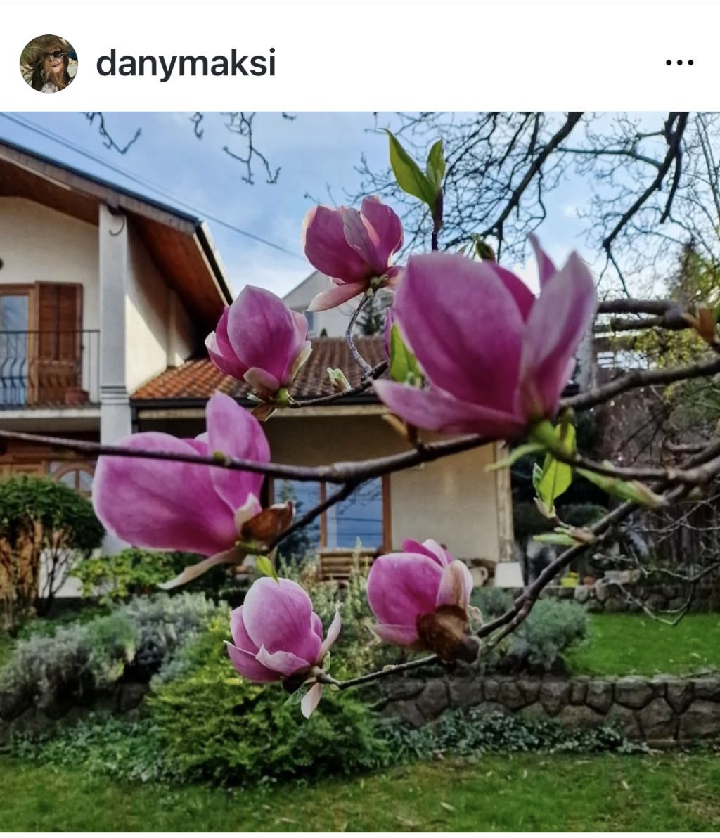 Bašta Danice Maksimović svet portal
