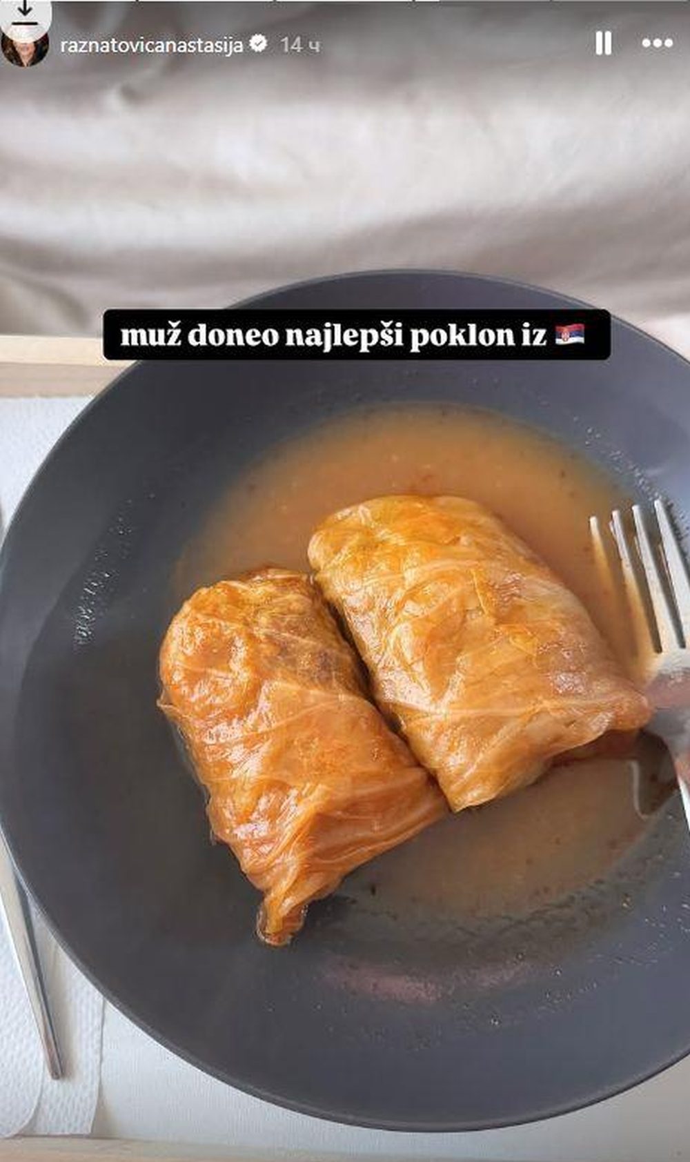 Sarma Predraga Ocokoljića svet portal svet