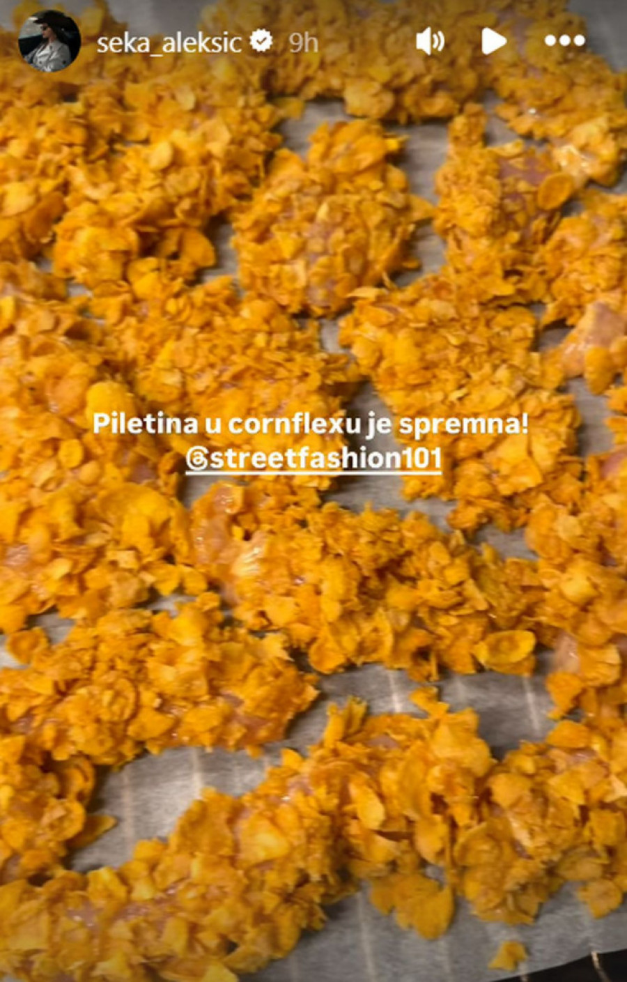 Seka Aleksić portal svet