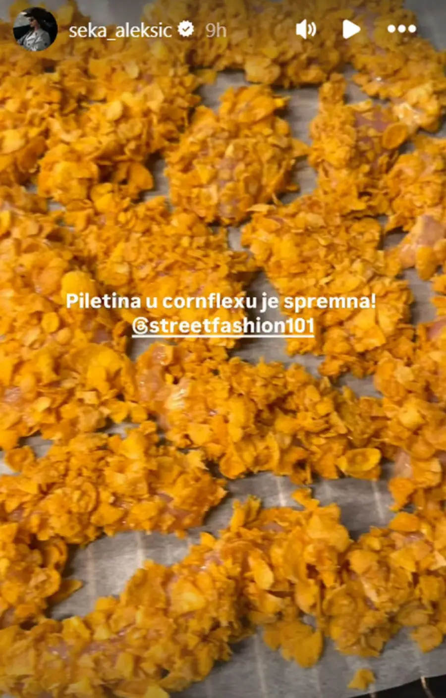 Seka Aleksić portal svet
