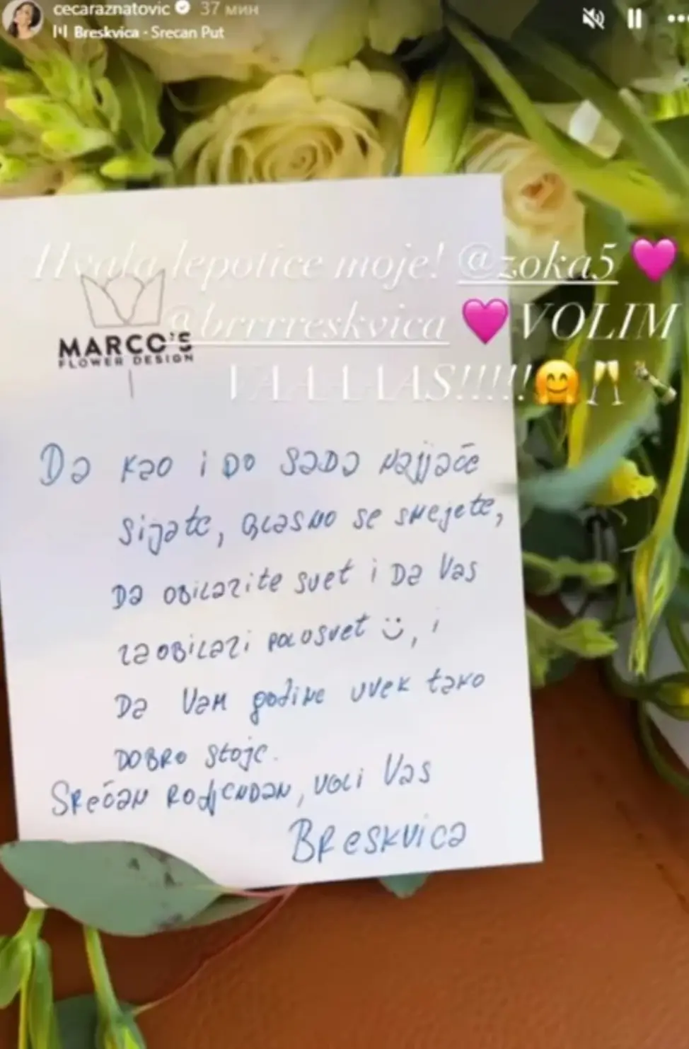 Ceca Ražnatović portal svet