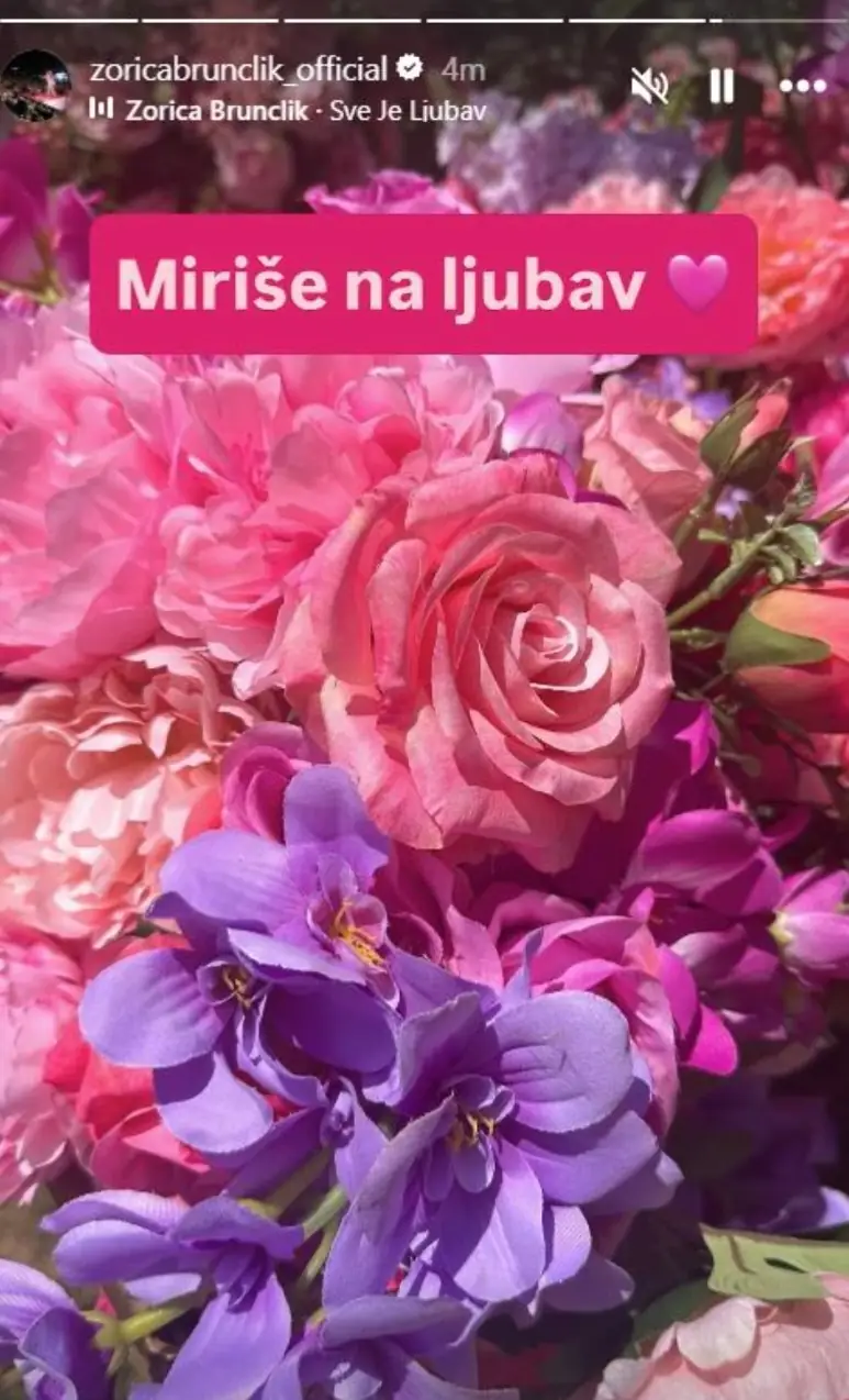 Zorica Brunclik portal svet