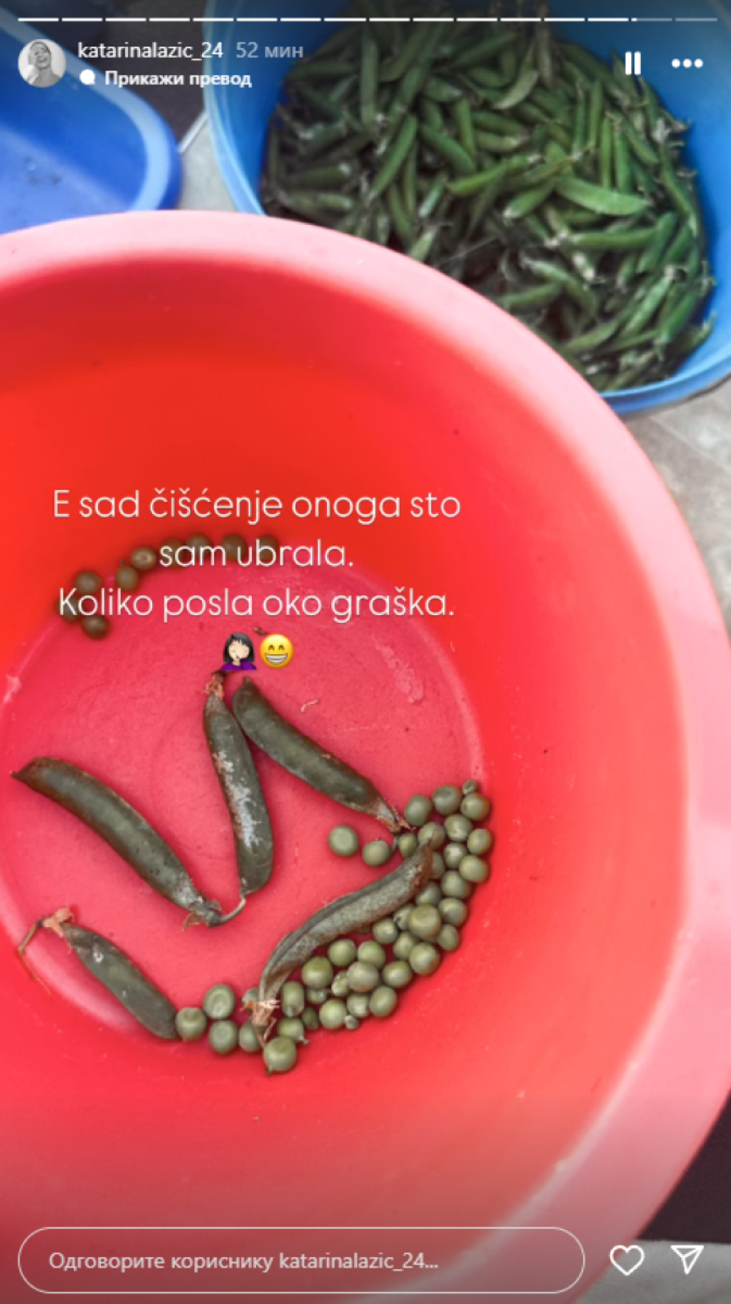 Kaća Lazić domaćica svet novine svet portal
