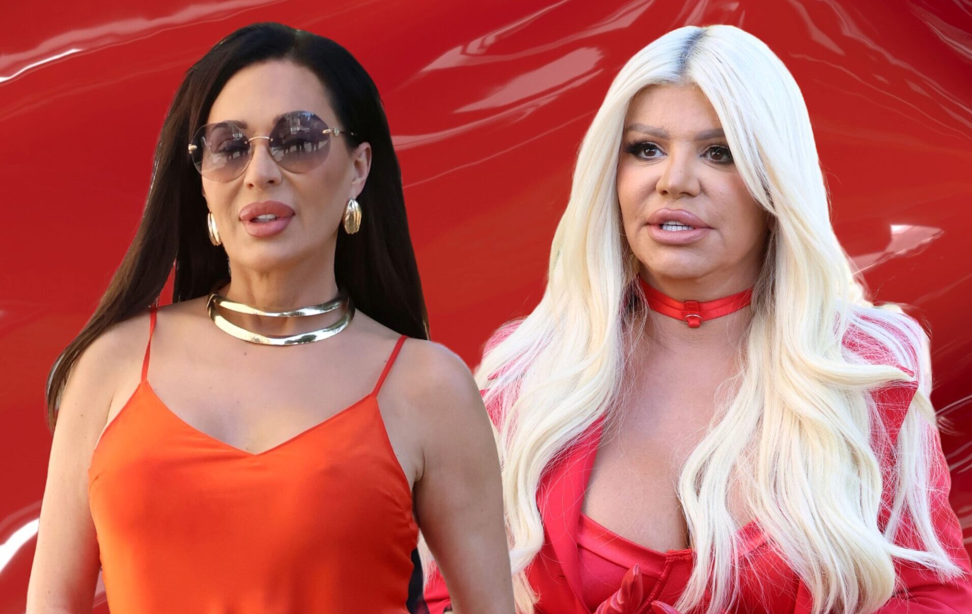Ceca i Dara