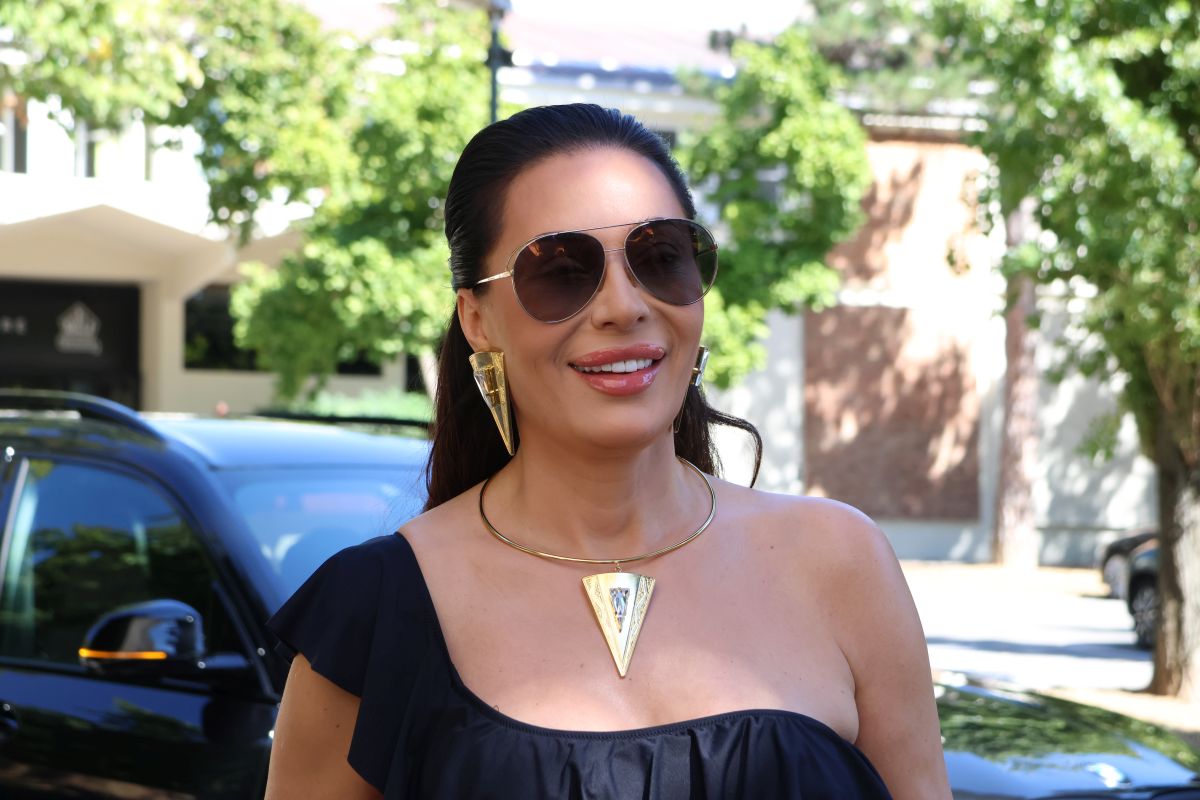 Ceca Ražnatović stajling