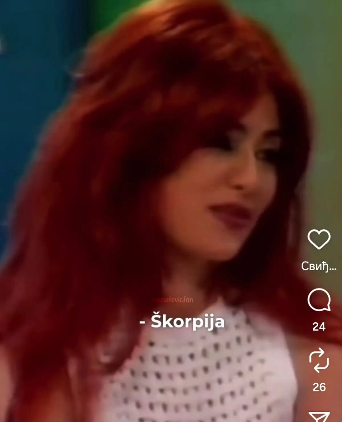 Ceca Ražnatović sa crvenom perikom koju njen muž nije voleo