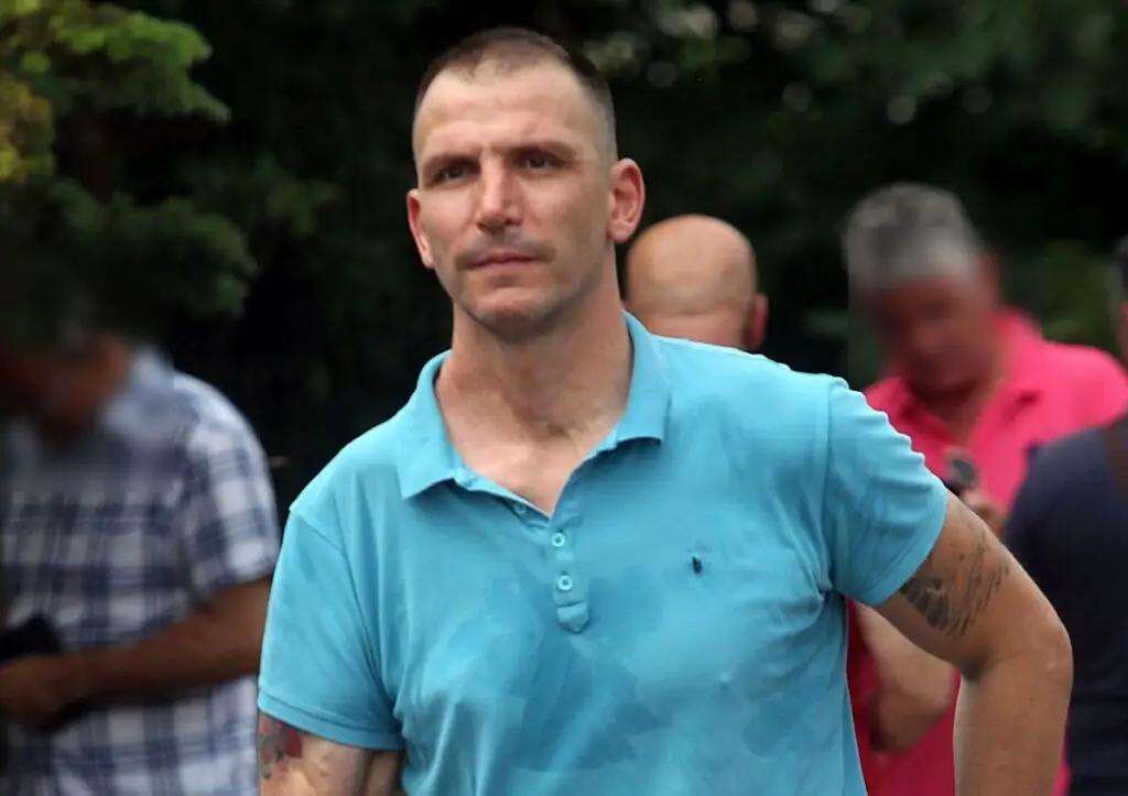 Razvod Ikodinovića i Maje Ognjenović