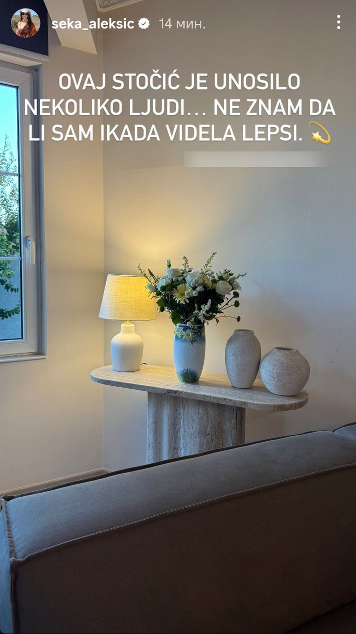 Dnevna soba Seke Aleksić