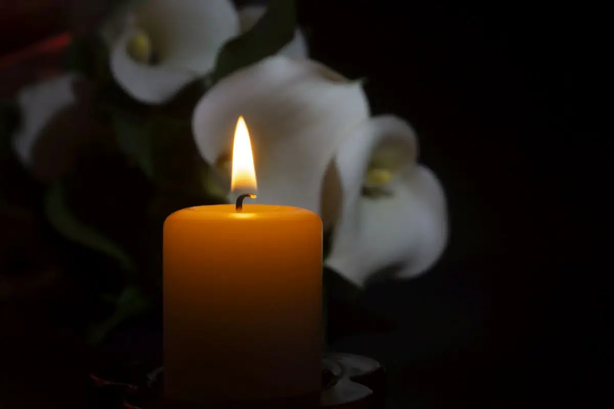 preminula influenserka