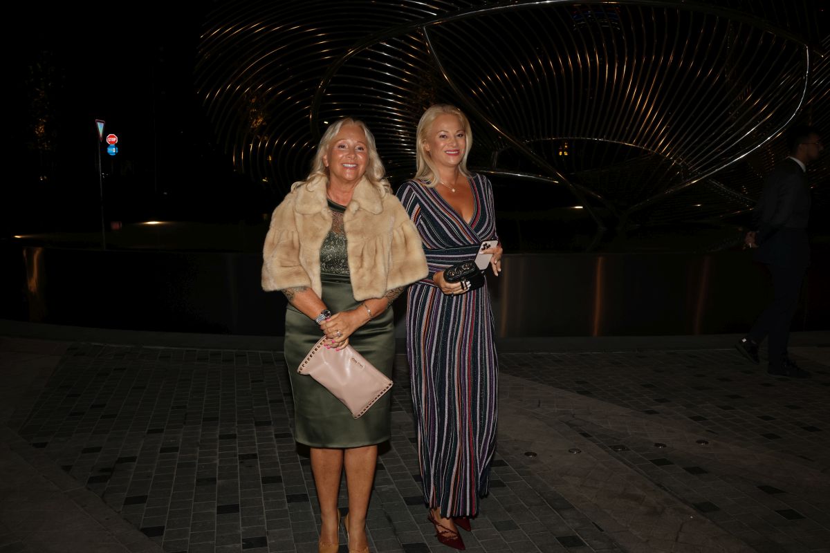 stil Ilde i Goce Šaulić