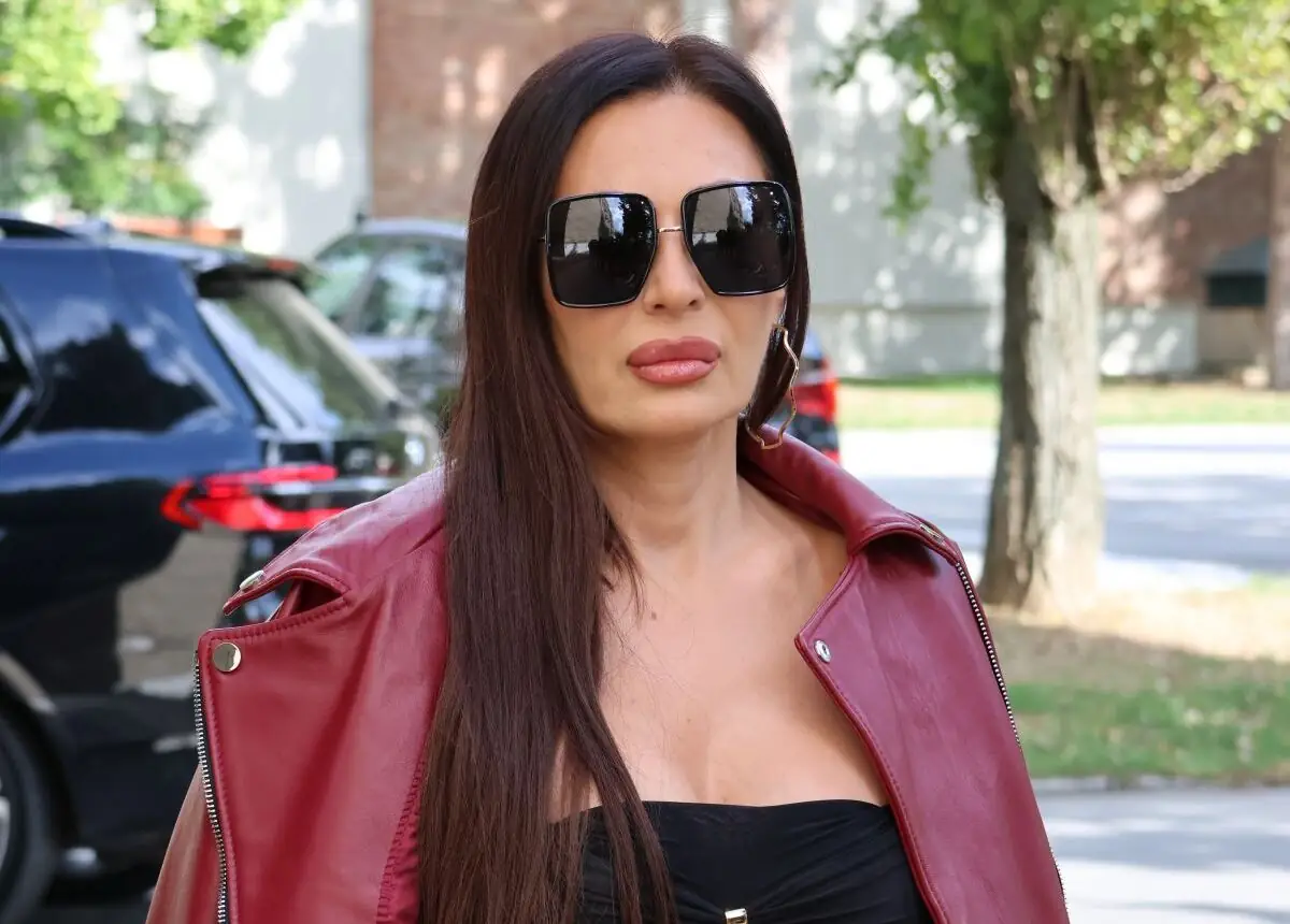 Ceca Ražnatović o pesmi Pile