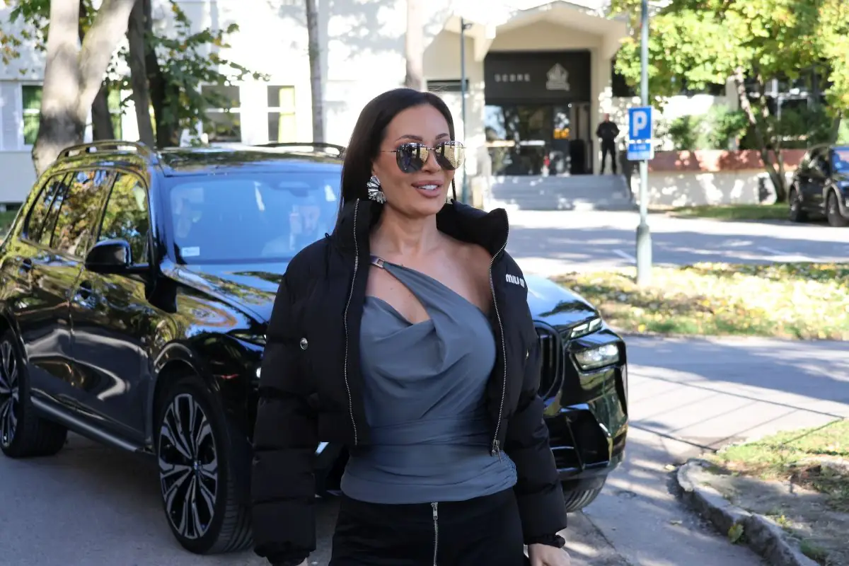 Ceca Ražnatović nije se pojavila na suđenju sa Jelenom Karleušom