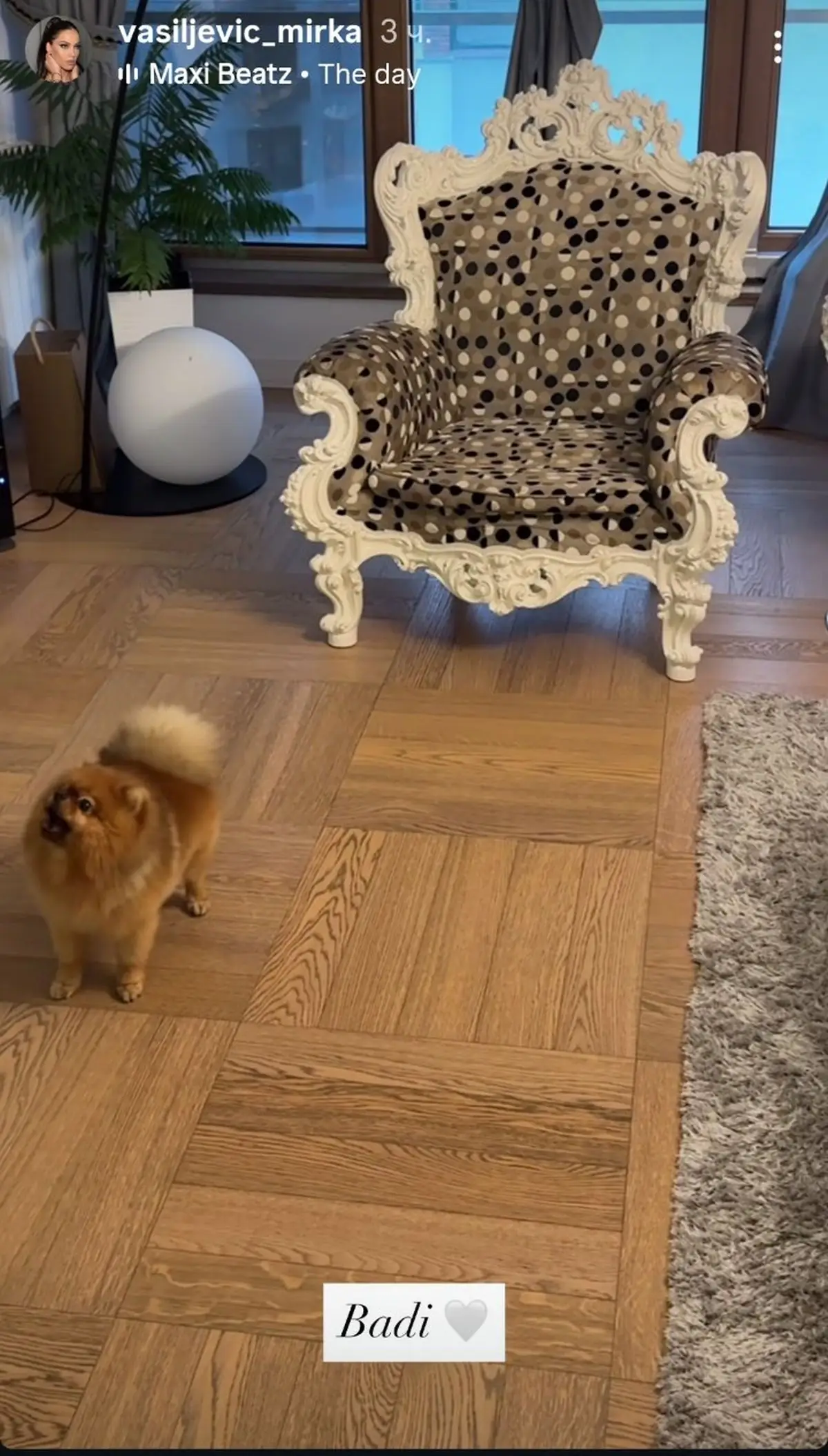 Mirka Vasiljević i Vujadin Savić dom