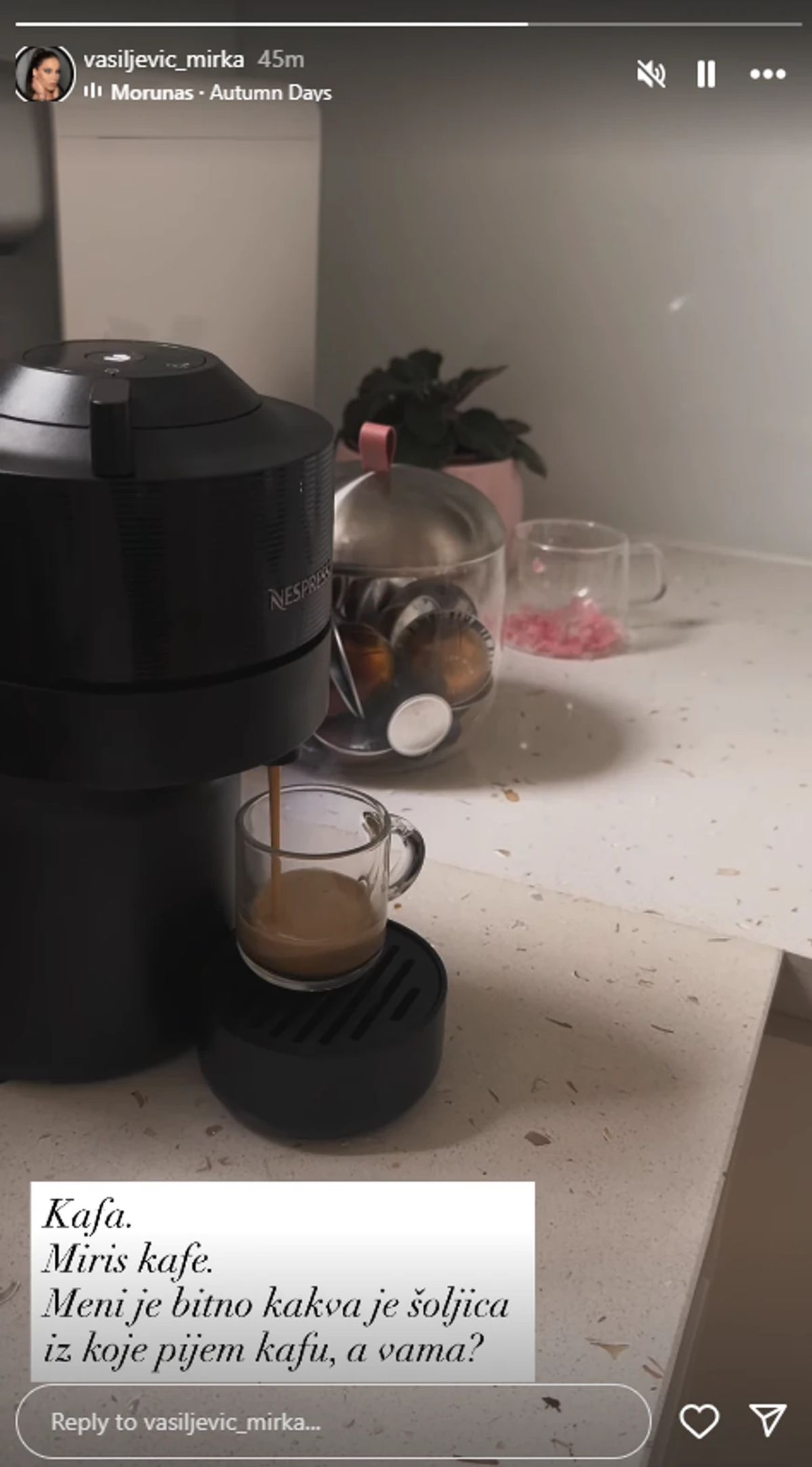 Mirka Vasiljević porodični dom