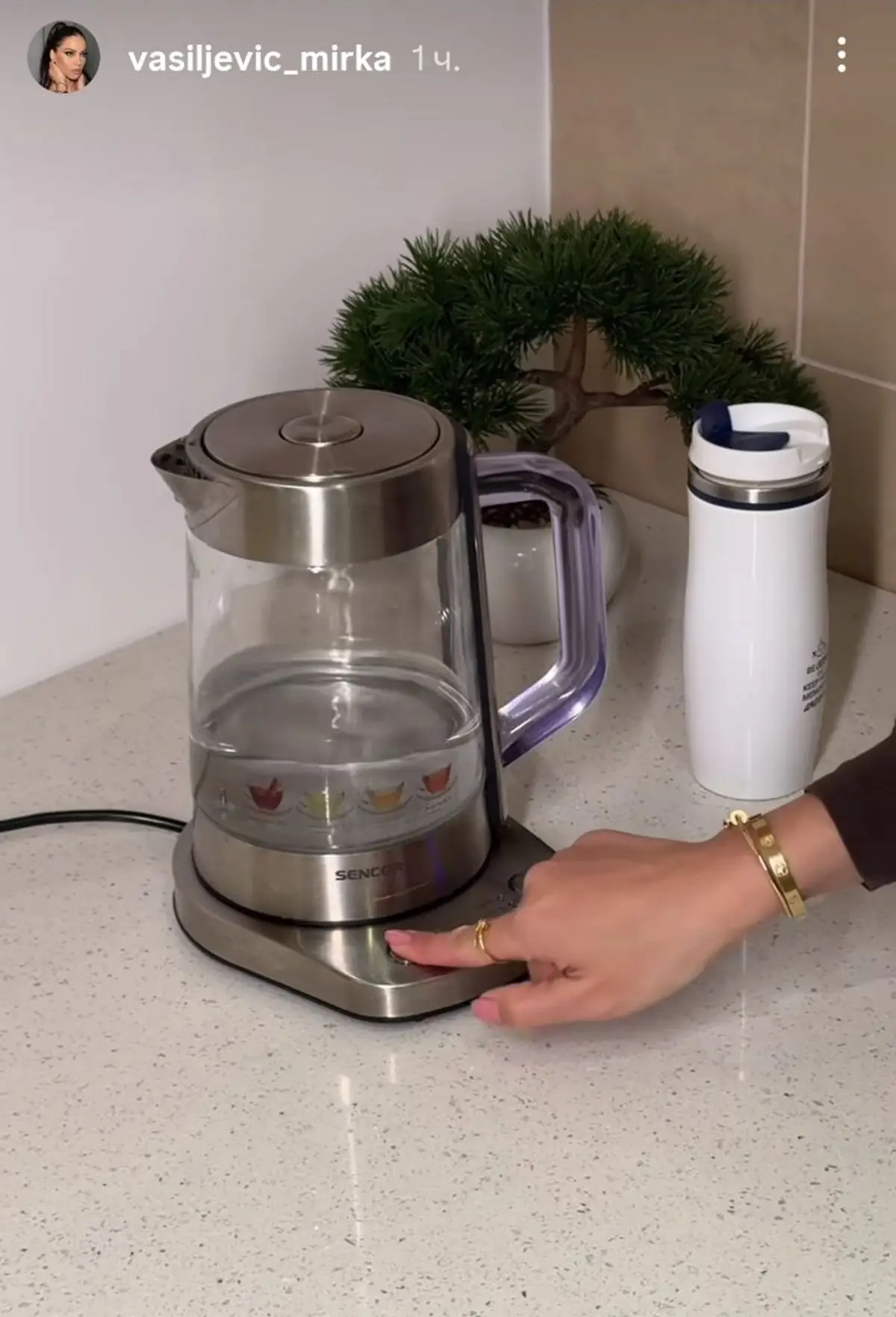 Mirka Vasiljević i Vujadin Savić dom